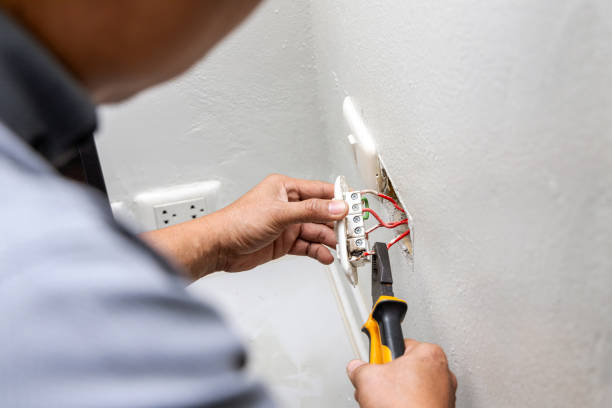 Best Electric Panel Repair  in Evergreen Park, IL